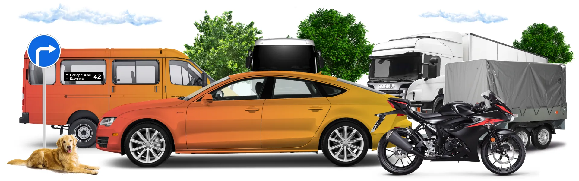 Купить права